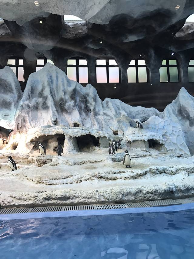 珠海长隆企鹅酒店自助餐厅