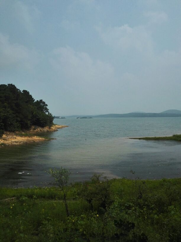 铜山湖森林公园