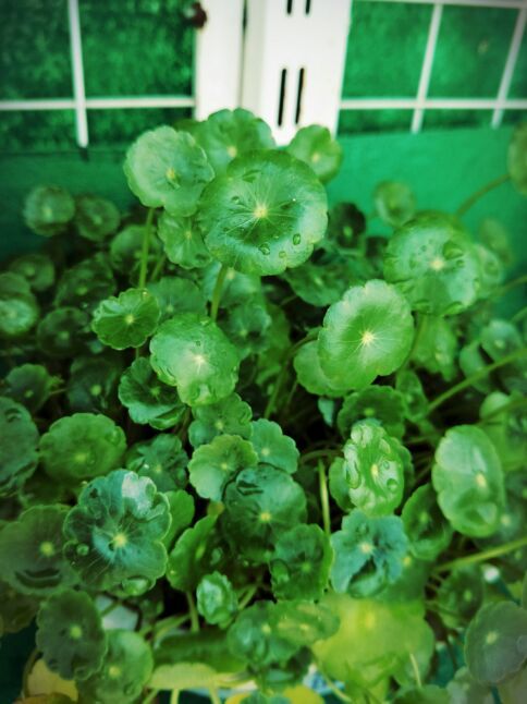 锦绣田园风景区