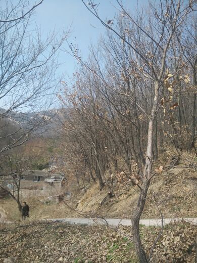 驻马店白云山风景区