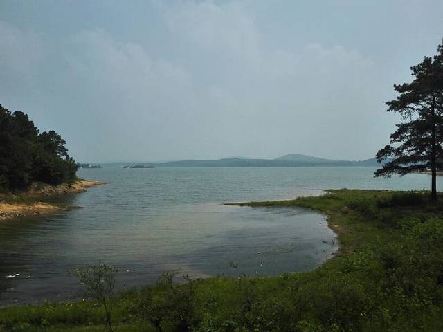 铜山湖森林公园