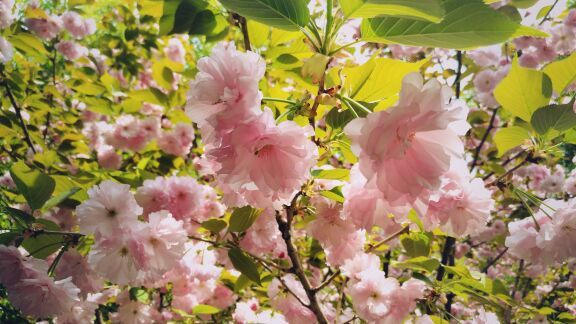 东四奥林匹克社区公园