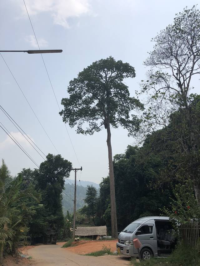 茵他侬国家公园