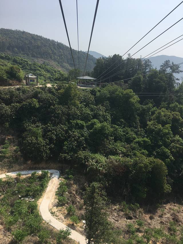 顶上生态风景区