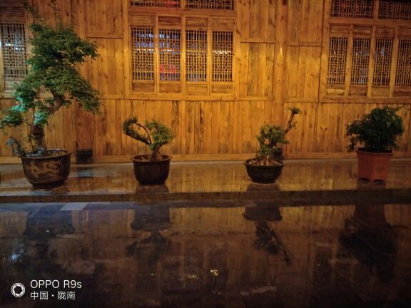 陇南阳坝梅园沟