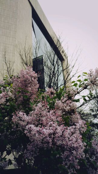 东四奥林匹克社区公园