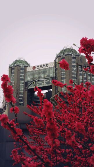 东四奥林匹克社区公园