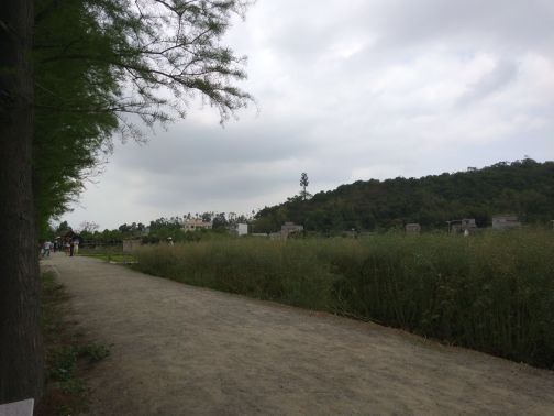 大宗堂十里莲江