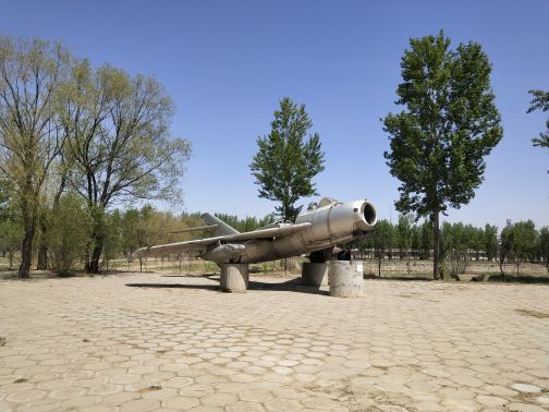 释尼召沙漠绿海