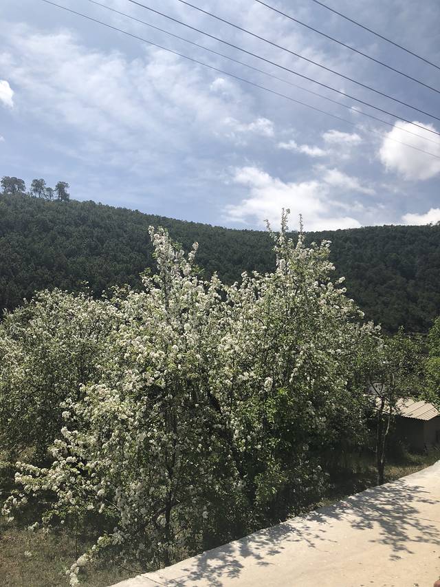 拉市海西湖马场