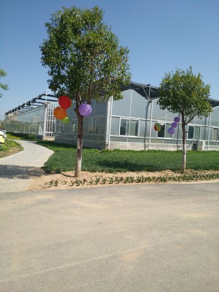 泾河智慧农业园