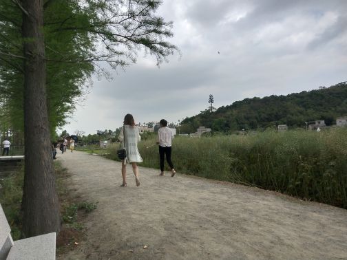 大宗堂十里莲江