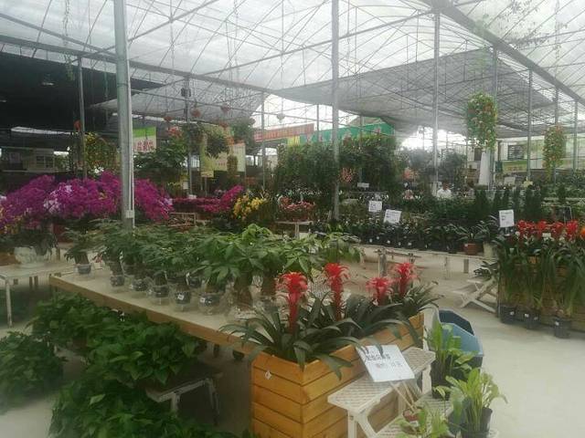 清远花卉庄园