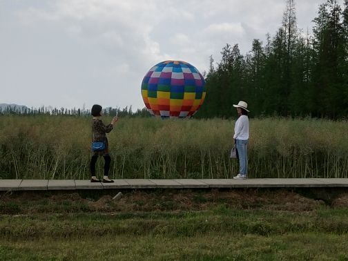 大宗堂十里莲江