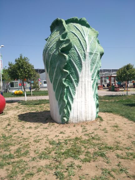 泾河智慧农业园