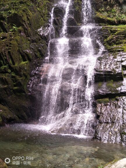 陇南阳坝梅园沟