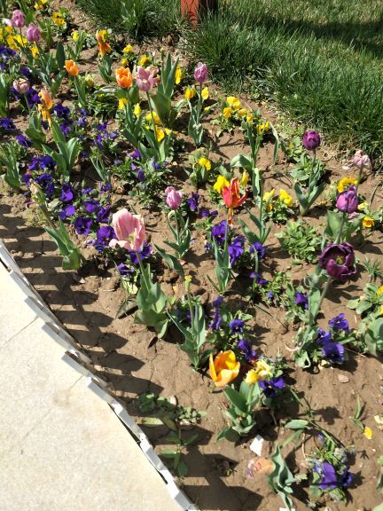 泾河智慧农业园