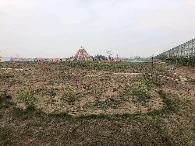 羊毛沟花海湿地