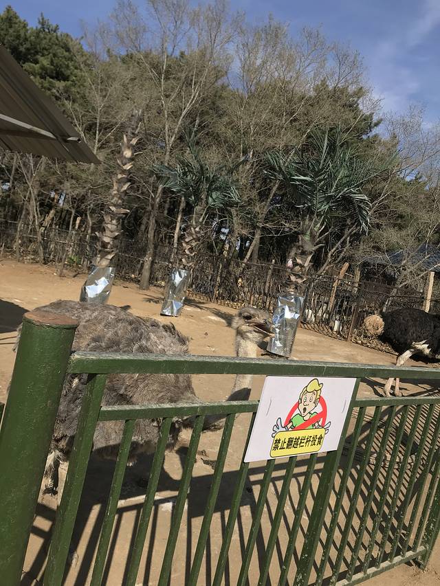 花果山神秘谷风景区