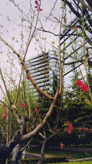 东四奥林匹克社区公园