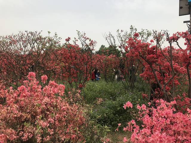 长沙园林生态园