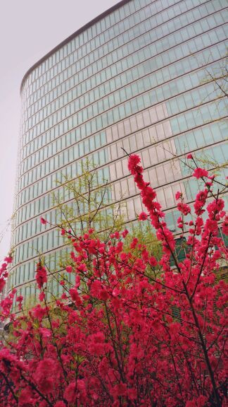 东四奥林匹克社区公园