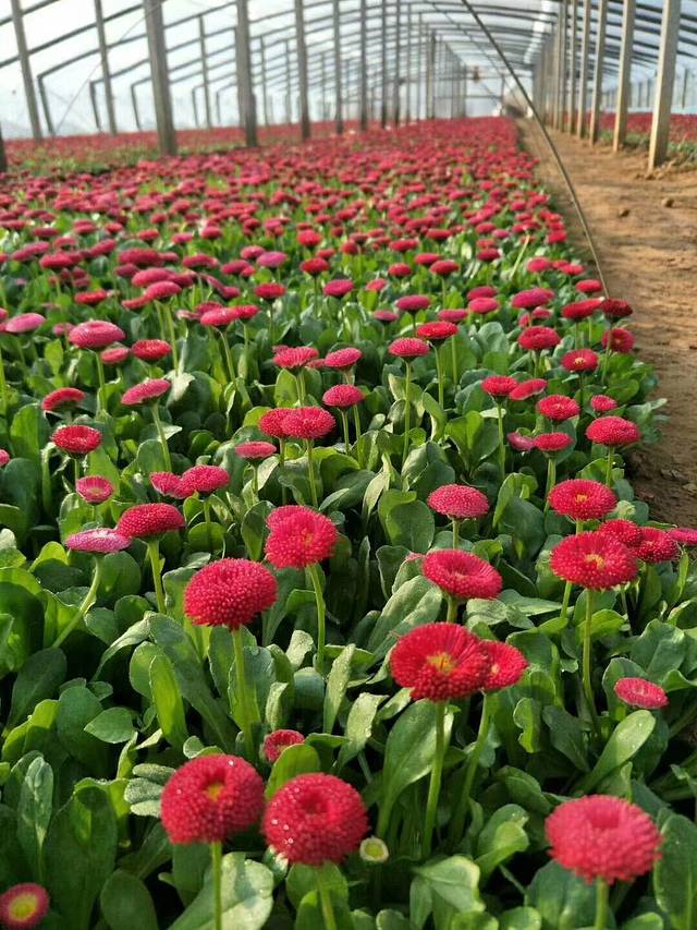 景华文化生态园