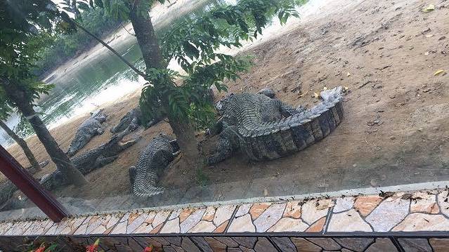 广东鳄人谷生态旅游区