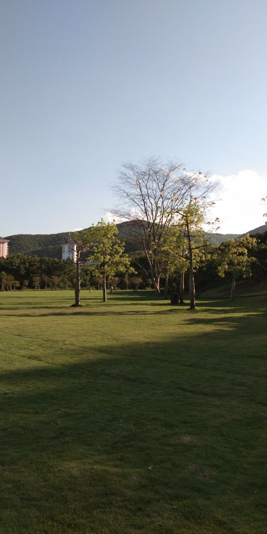 大屏嶂森林公园