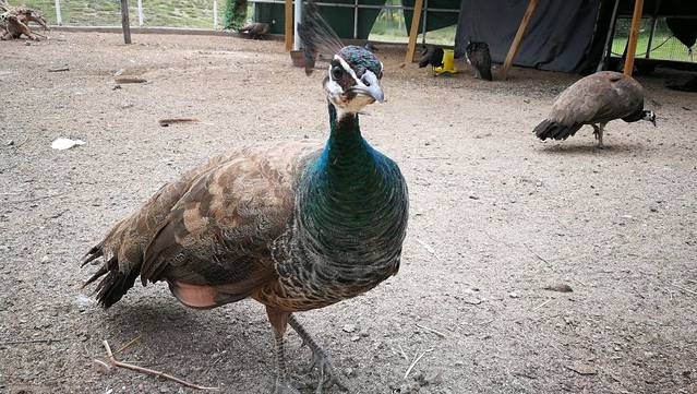 西安浐灞国家湿地公园