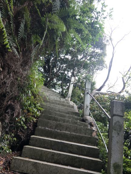 天童国家森林公园