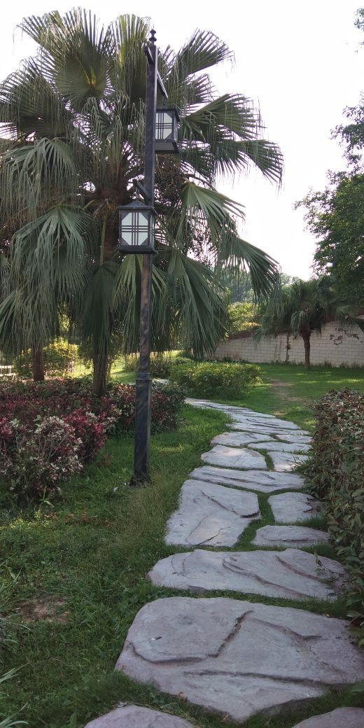 大屏嶂森林公园