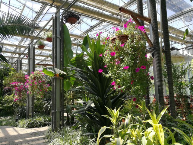 新疆农业博览园