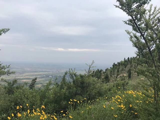 万安山山顶公园