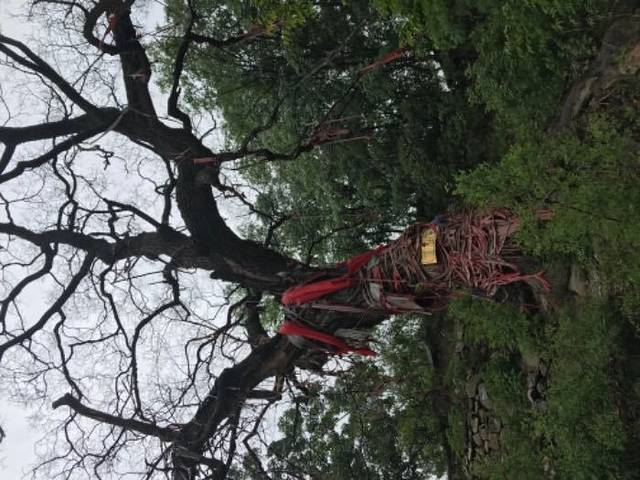 潭瀑峡(大石峪)