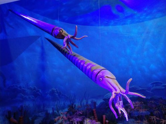 孩子去了很开心恐龙公园非洲动物人类的演变无脊椎动物水生动物好几个