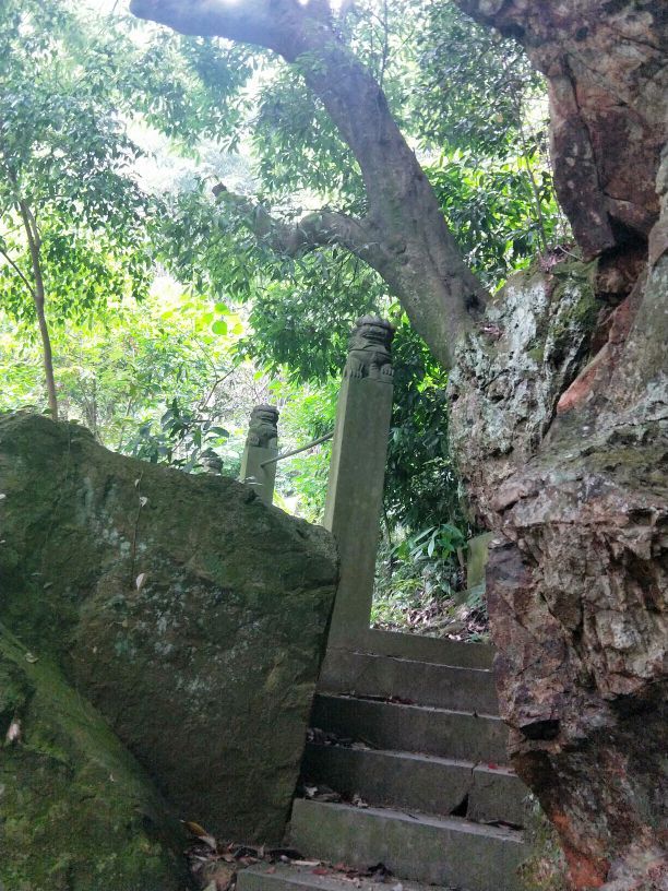 天童国家森林公园