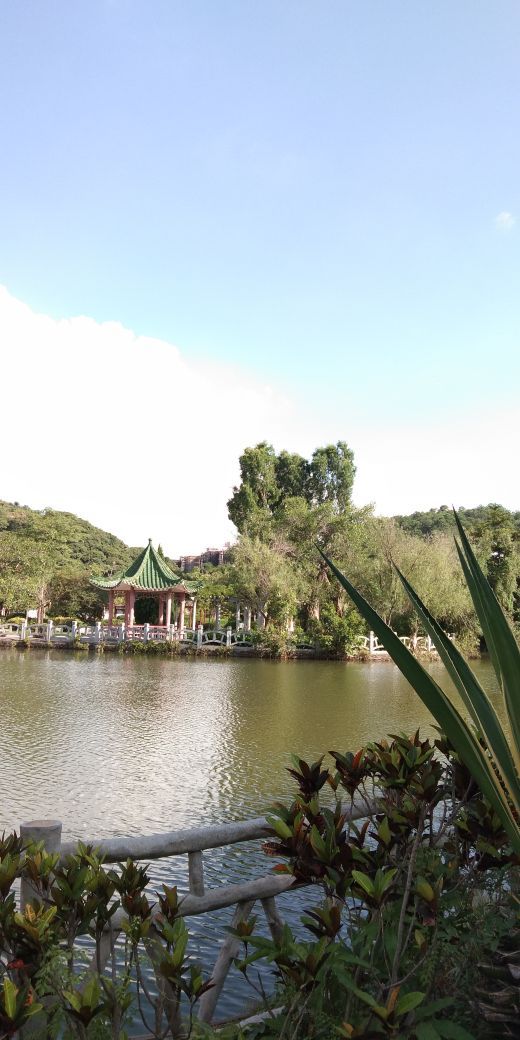 大屏嶂森林公园