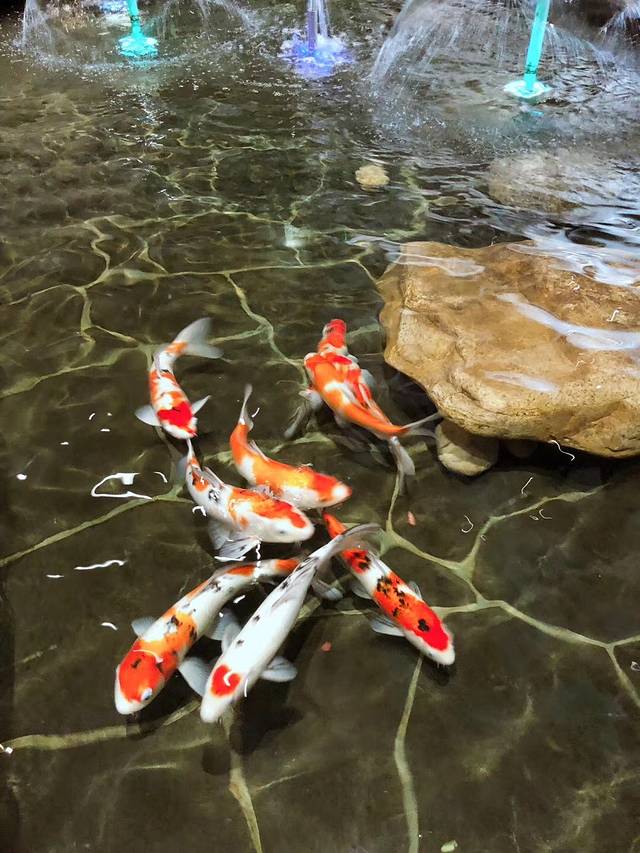 乐汤汇温泉生活馆(河东·精品店)