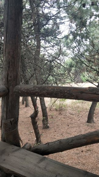 花果山神秘谷风景区