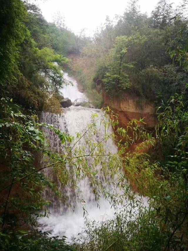 鲸鱼沟竹海风景区