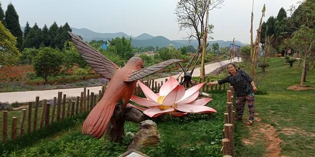 中国香山寿香谷