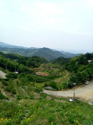 福寿山森林公园