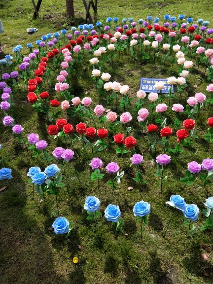 泗县运河人家景区