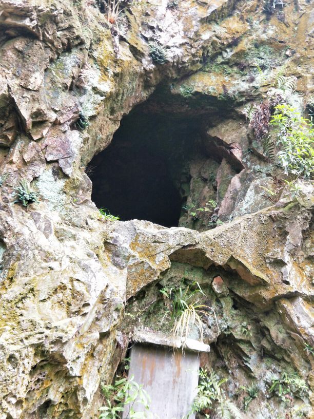 天童国家森林公园