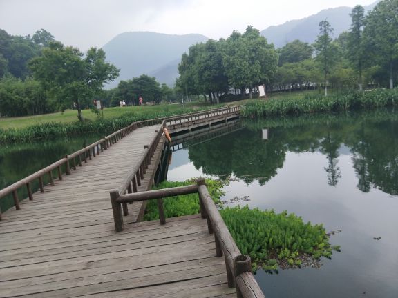 天童国家森林公园