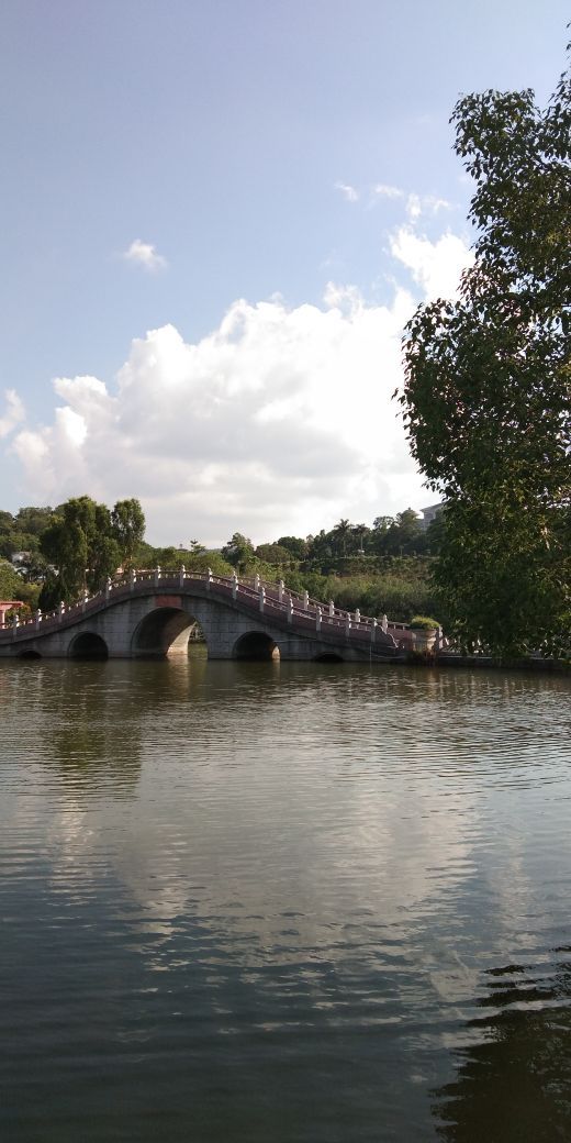 大屏嶂森林公园