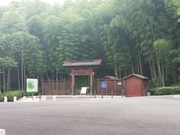 天童国家森林公园