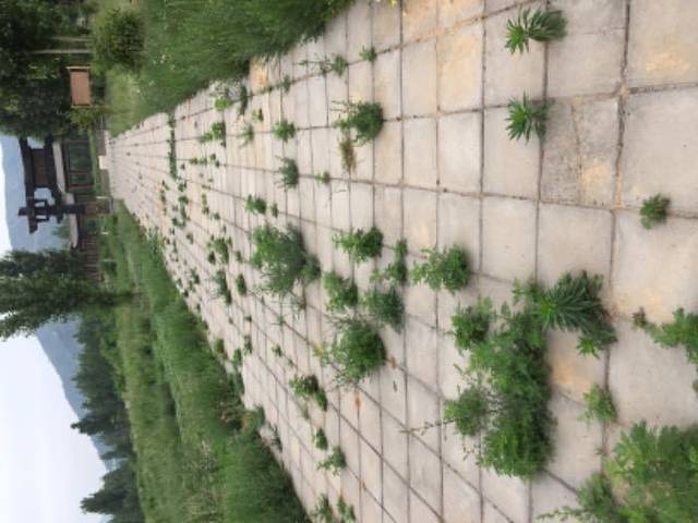 河北长城文创园