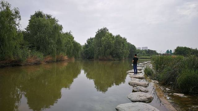 西安浐灞国家湿地公园
